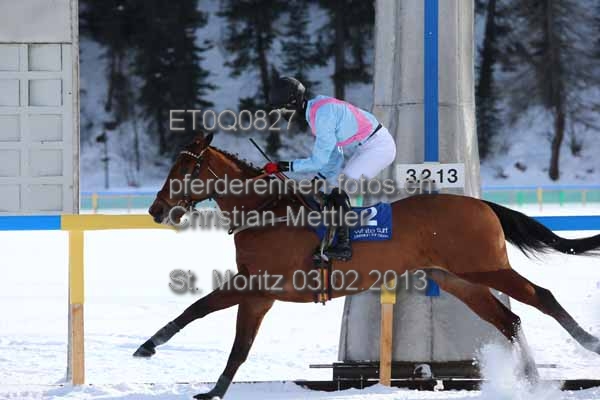 ET0Q0827 prot